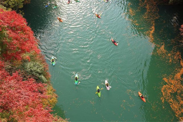 カヤックと紅葉 / Kayak and autumn leaves