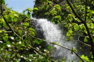 唐滝１ / Karataki Waterfall 1