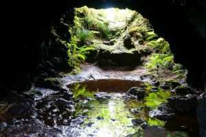 洞穴 / Small cave